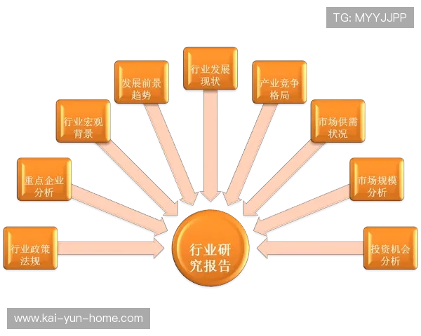 行政审批与市场运行的深度耦合在体系建设期实现了流程优化